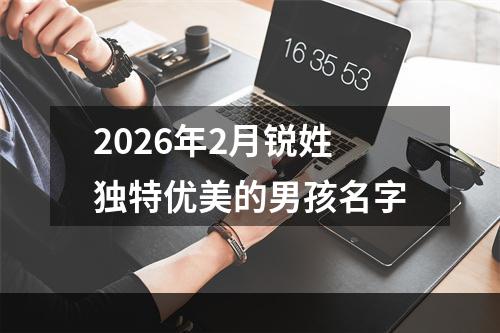 2026年2月锐姓独特优美的男孩名字