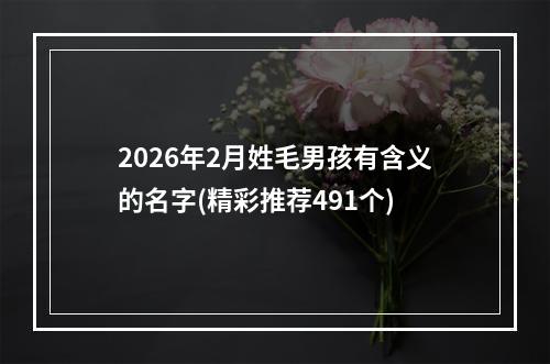 2026年2月姓毛男孩有含义的名字(精彩推荐491个)