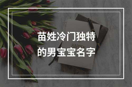 苗姓冷门独特的男宝宝名字