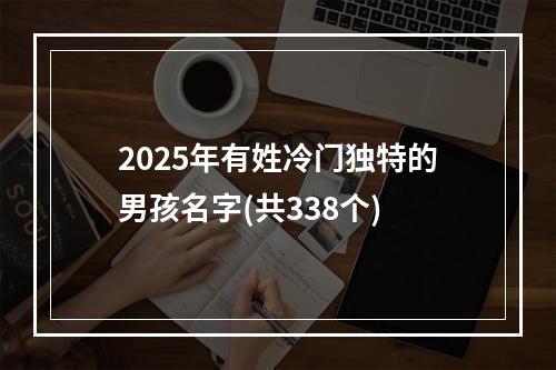 2025年有姓冷门独特的男孩名字(共338个)