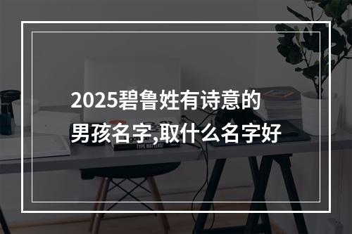 2025碧鲁姓有诗意的男孩名字,取什么名字好