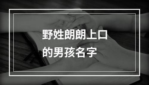 野姓朗朗上口的男孩名字