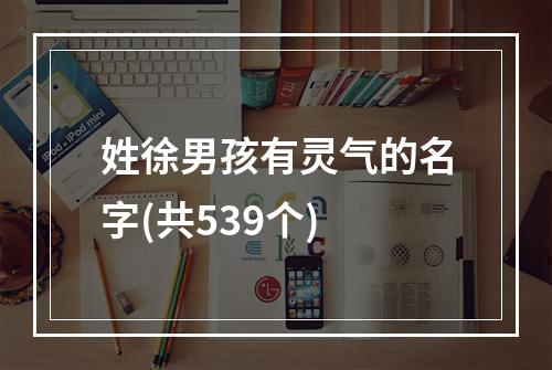 姓徐男孩有灵气的名字(共539个)
