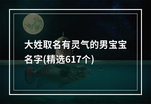 大姓取名有灵气的男宝宝名字(精选617个)