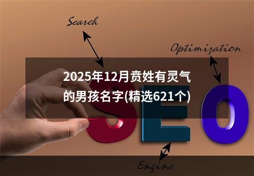 2025年12月贲姓有灵气的男孩名字(精选621个)