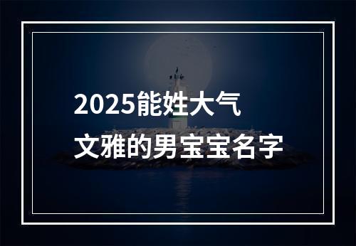 2025能姓大气文雅的男宝宝名字