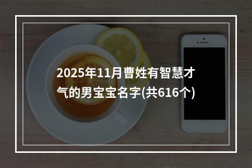2025年11月曹姓有智慧才气的男宝宝名字(共616个)