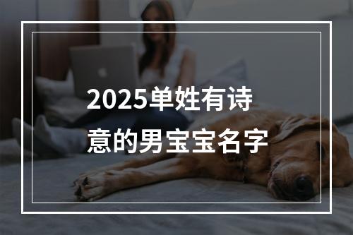 2025单姓有诗意的男宝宝名字