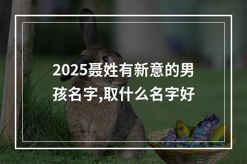 2025聂姓有新意的男孩名字,取什么名字好