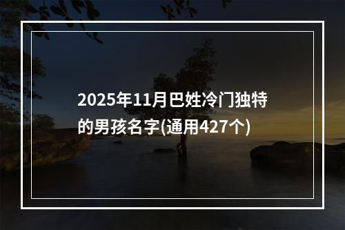 2025年11月巴姓冷门独特的男孩名字(通用427个)