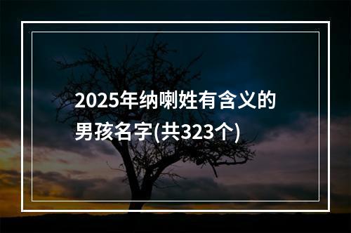 2025年纳喇姓有含义的男孩名字(共323个)