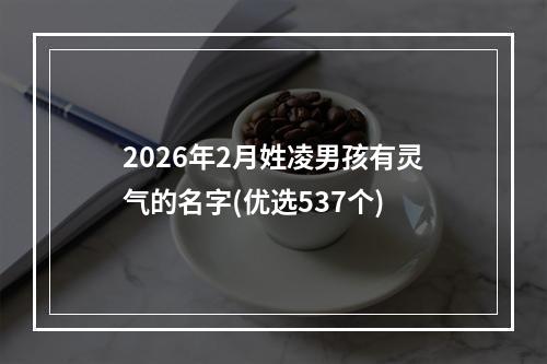 2026年2月姓凌男孩有灵气的名字(优选537个)