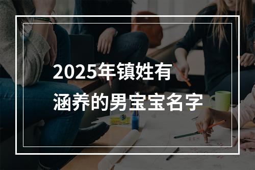 2025年镇姓有涵养的男宝宝名字