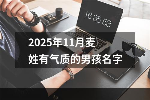 2025年11月麦姓有气质的男孩名字