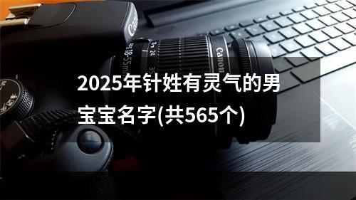 2025年针姓有灵气的男宝宝名字(共565个)