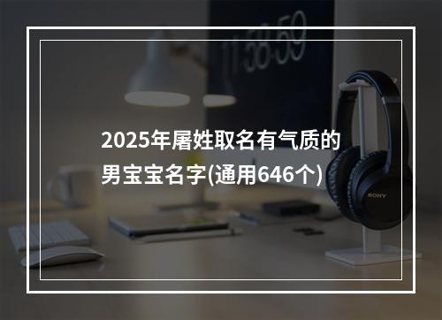 2025年屠姓取名有气质的男宝宝名字(通用646个)