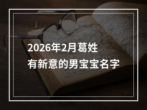 2026年2月葛姓有新意的男宝宝名字