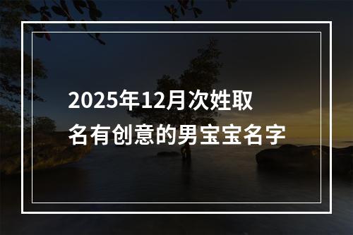 2025年12月次姓取名有创意的男宝宝名字