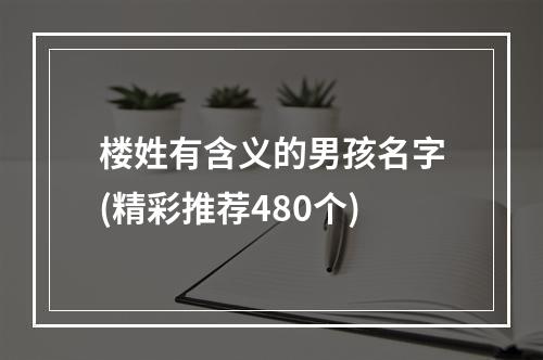 楼姓有含义的男孩名字(精彩推荐480个)