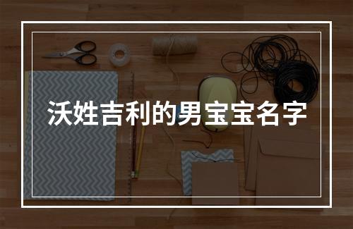 沃姓吉利的男宝宝名字
