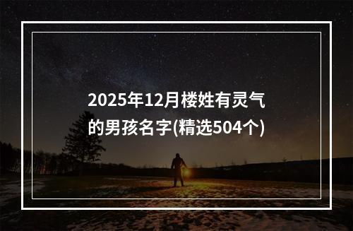 2025年12月楼姓有灵气的男孩名字(精选504个)