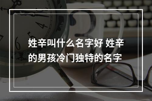 姓辛叫什么名字好 姓辛的男孩冷门独特的名字