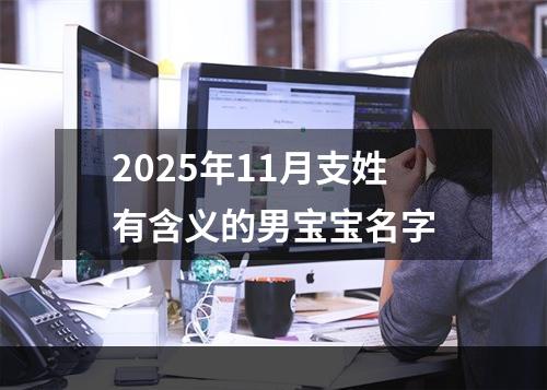 2025年11月支姓有含义的男宝宝名字