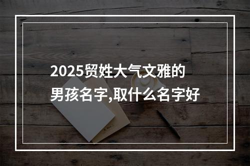 2025贸姓大气文雅的男孩名字,取什么名字好
