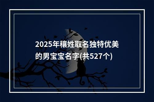 2025年穰姓取名独特优美的男宝宝名字(共527个)