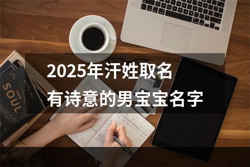 2025年汗姓取名有诗意的男宝宝名字