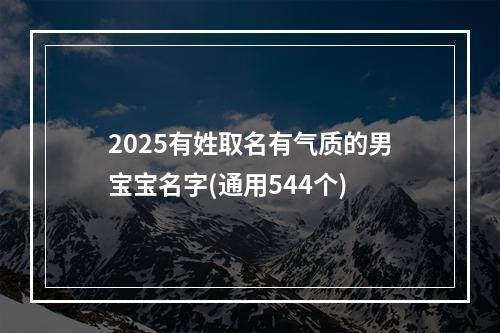 2025有姓取名有气质的男宝宝名字(通用544个)