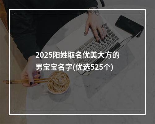 2025阳姓取名优美大方的男宝宝名字(优选525个)