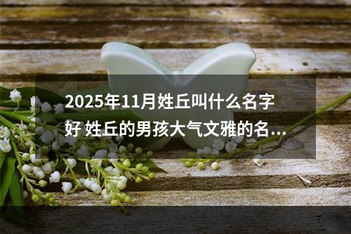 2025年11月姓丘叫什么名字好 姓丘的男孩大气文雅的名字
