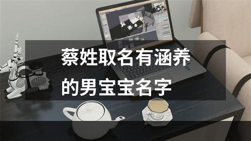 蔡姓取名有涵养的男宝宝名字