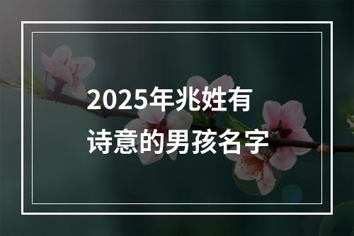 2025年兆姓有诗意的男孩名字