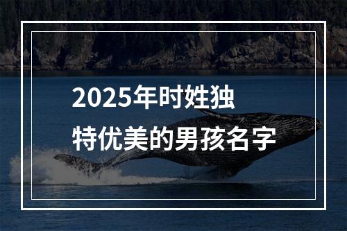 2025年时姓独特优美的男孩名字
