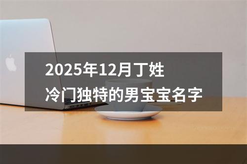 2025年12月丁姓冷门独特的男宝宝名字