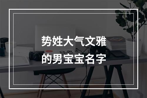 势姓大气文雅的男宝宝名字