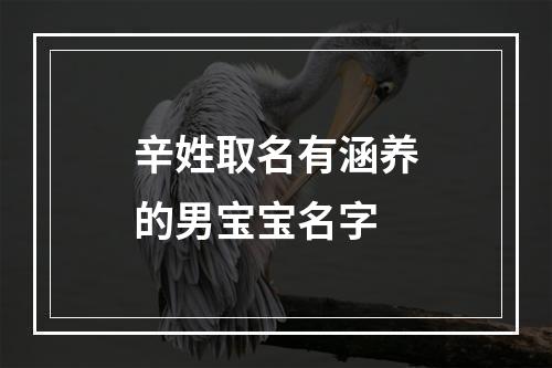 辛姓取名有涵养的男宝宝名字