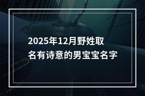 2025年12月野姓取名有诗意的男宝宝名字