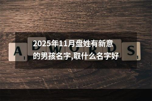2025年11月盘姓有新意的男孩名字,取什么名字好