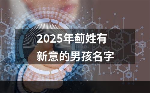 2025年蓟姓有新意的男孩名字