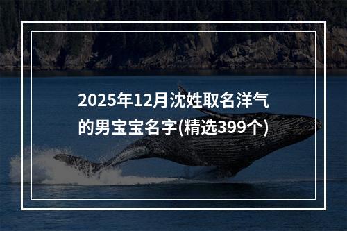 2025年12月沈姓取名洋气的男宝宝名字(精选399个)
