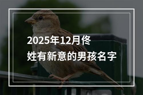 2025年12月佟姓有新意的男孩名字