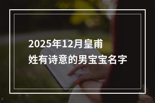 2025年12月皇甫姓有诗意的男宝宝名字