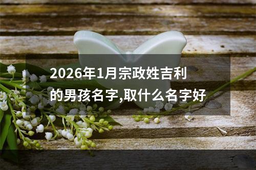2026年1月宗政姓吉利的男孩名字,取什么名字好
