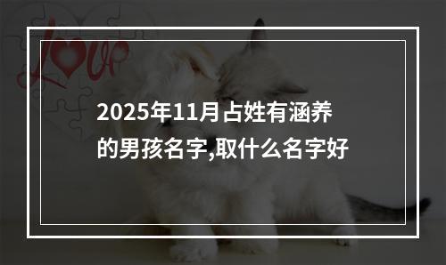 2025年11月占姓有涵养的男孩名字,取什么名字好