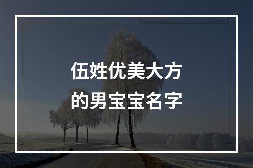 伍姓优美大方的男宝宝名字