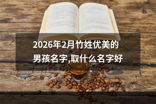 2026年2月竹姓优美的男孩名字,取什么名字好
