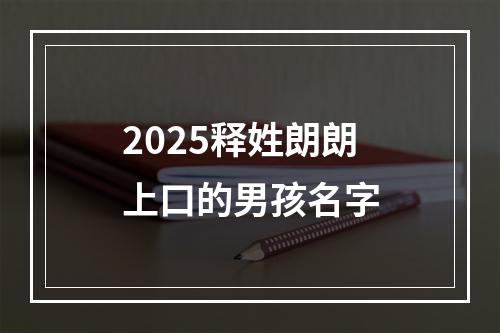 2025释姓朗朗上口的男孩名字